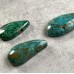 A Qualität Chrysocoll Cabochon