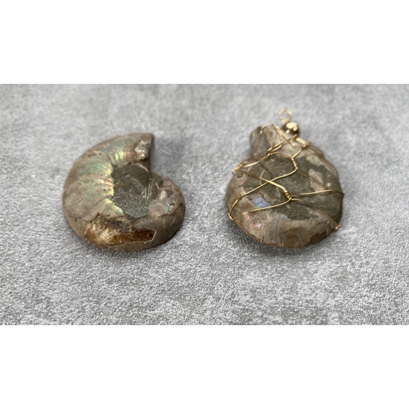 Ammoniten, Opalisierend